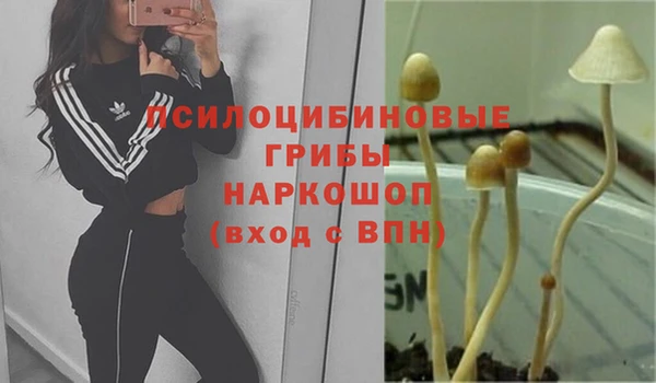 ALPHA PVP Армянск