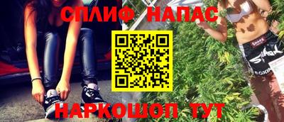 СК Новокубанск