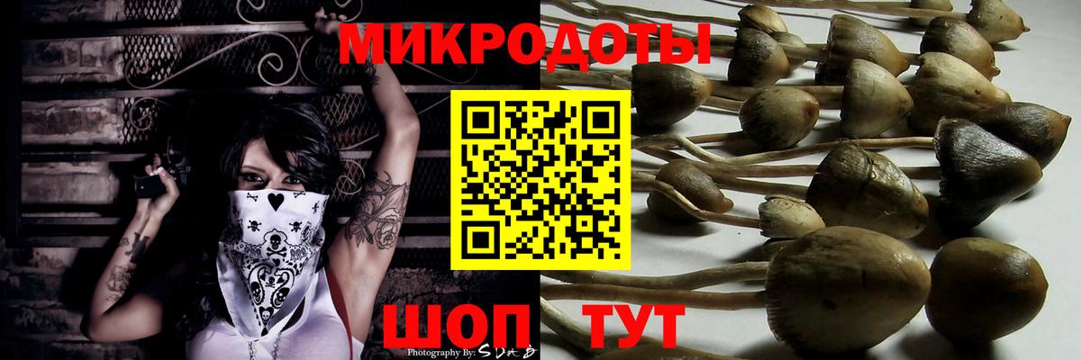 Балтийск  Галлюциногенные грибы мухоморы  Вход с VPN  хочу   Галлюциногенные грибы мухоморы 
